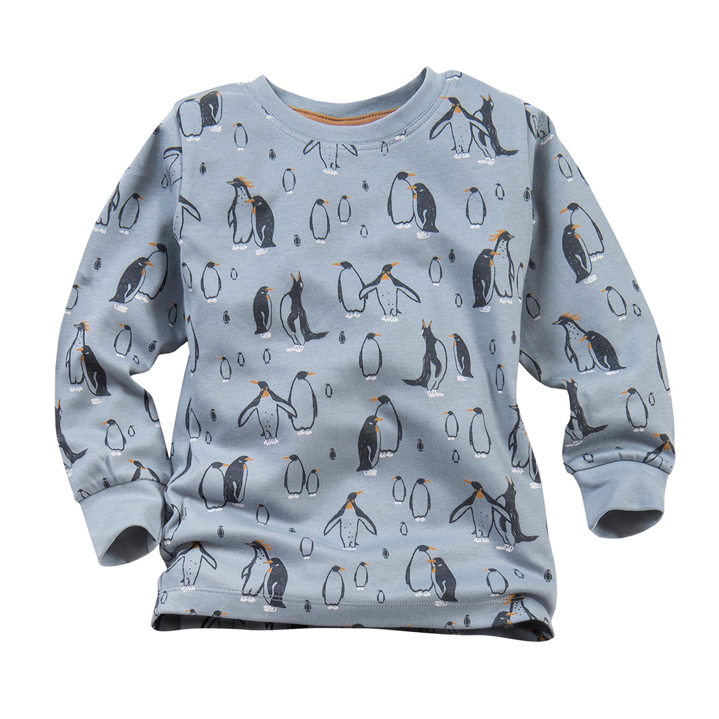 Kinder Pyjama Pinguinkolonie silbergrau